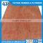 Best Price 4*8 18mm Commercial Plywood for Construction