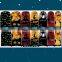 Christmas Nail Art 14 Tips Decoration Wholesale Halloween Nail Polish Strips Nail Art Products
