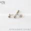 Nonstandard Stainless Steel Screw in best-selling