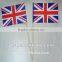 New Style Hot Sell Flag Bamboo Party Toothpick