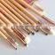 private label 10 pcs cosmetic makeup brush set with PU leather case