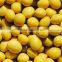 2014 High quality soybean oil machine bulk soybean oil prices