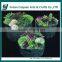 Garden plant vegetable grow bag