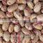 Agricultural Products-Chinese New Crop Light Speckled Kidney Beans With Good Quality                        
                                                Quality Choice
