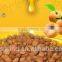 sweet apricot kernels oil