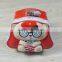 Hot Sale Piggy Bank/Cartoon Style Material Metal Piggy Bank