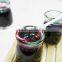 Professional manufacturer automatic blueberry jam filling machine
