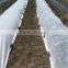 [Manufacturer]PP uv non woven agriculture cover fabric/100% virgin polypropylene crop row cover/ uv treated landscape fabric