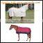 Waterproof Breathable Horse Turnout Rugs