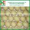 2016 Best quality and low prices fresh ya pear from China