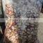 2015 new speckled kidney beans with good quality