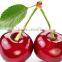 GMP Natural High Quality Water Soluble Acerola Powder/Acerola Juice Powder