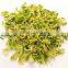 Wholesales dried cabbage cutting price