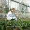Hot Selling Chelated Micronutrient Amino Acid Powder Fertilizer With Low Price