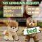 HI 250cm big teddy bear plush toy,giant stuffed teddy bear