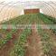 Farm Irrigation System Driptape t Tape