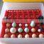 incubator for pigeon eggs with CE certification and high hatching rate WQ-72