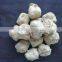 Textured soybean protein extruder machine