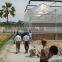 Polycarbonate Greenhouse For Sale