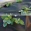 argrecutural nonwovens PP Spunbonded Non-Woven Fabric for Agricultural Us