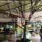 Q011305 artificial tree without leaves home & garden high quality dry tree for decoration