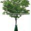 collapsible heavy duty PVC fruit tree planting plastic bag