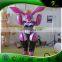 Customized Hongyi Inflatable Fox Suit , Hot Sale Sexy Animal Pink Costume