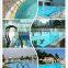 Accept OEM&ODM Stainless Steel 304 Material Swimming Pool Ladder