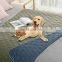 Quilting Customized Luxury Waterproof Pet Blanket Higher Quality Pet Blanket