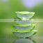 Fresh Diced Aloe Vera/100% Natural Fresh Aloe Vera Leaves/Aloe Vera have amazing proprieties from Vietnam