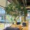 Large Artificial Olive Trees Artificial Decor Simulation Plant Fake Olive Trees for Landscape Project