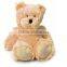 160cm giant teddy bear custom plush toy/plush brown bear toy/soft plush brown bear toy