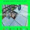 Glass Curtain wall safety glass tempered laminated glass