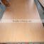 Hot!!18mm melamine mdf price