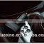 Car voltmeter 12v