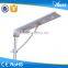 2016 High Lumen High Quality Led Solar Garden Lights guangzhou with LED chips