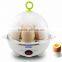 Home Egg Cooker,plastic egg cooker,electric egg boiler with chicken shape