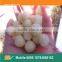 Industrial Cheese Ball Snacks Food Making Machine