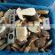 New Crop Frozen Porcini Mushroom