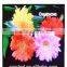 china supplier, Winsome P10 160*160 Outdoor LED Large Screen Display