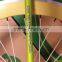 Aluminum Alloy Frame Fixed Gear Bike/Cycling