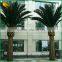 cheap tall decorative artificial date plam tree for sale