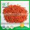 Latest Dehydrated Carrot Granules Strip