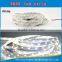 Waterproof Optional LED Strip SMD 5050 2835 3528 RGBW RGB LED Strip