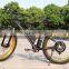48V 750w mountain electric bike/city bike electric bicycle