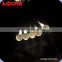 LIDORE Decorative Ball Shape Christmas Light Acrylic Golfs LED light