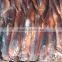 new fresh frozen whole round argentina illex squid