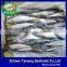 Can Fish Frozen Sardines Fish