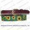 Sports children's needlepoint belt
