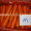 New Carrot for Vietnam Market